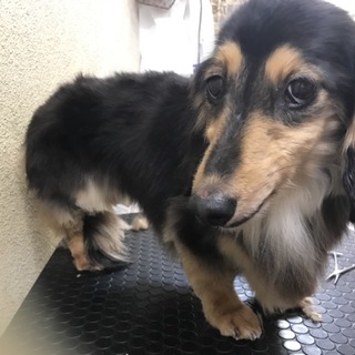 とっても美人♪つるこちゃん