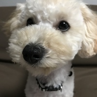 ソラ