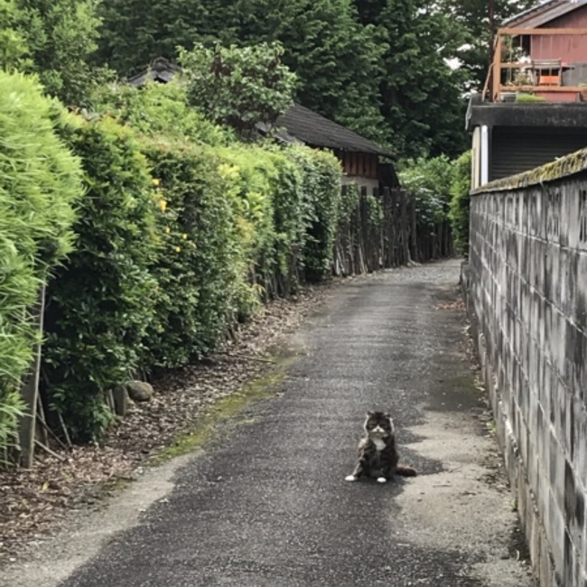 ゆっきままのカバー写真