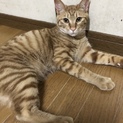 生まれてから過酷な状況で生きていました。