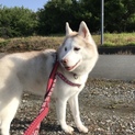 ありがとうございました