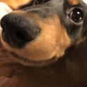 甘えん坊です
