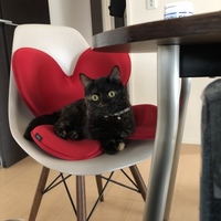 まん