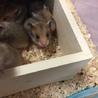 とも&まぁ さん