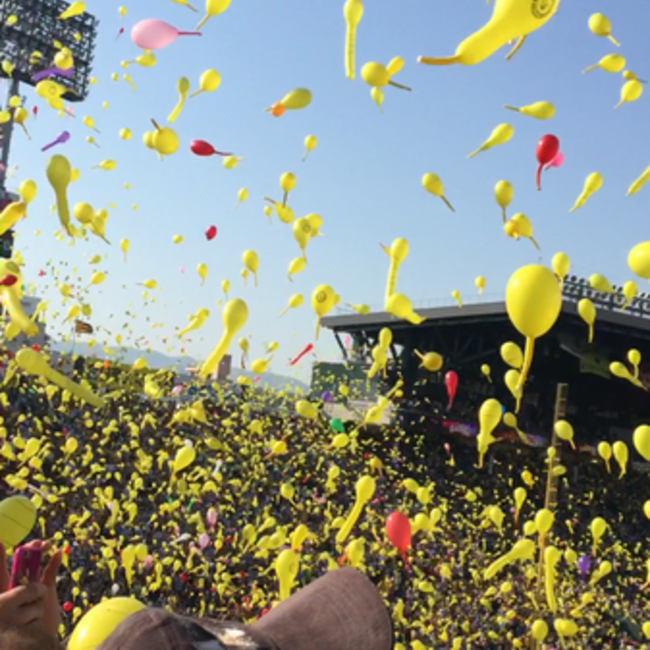 カボちゃんのねえちゃんのカバー写真