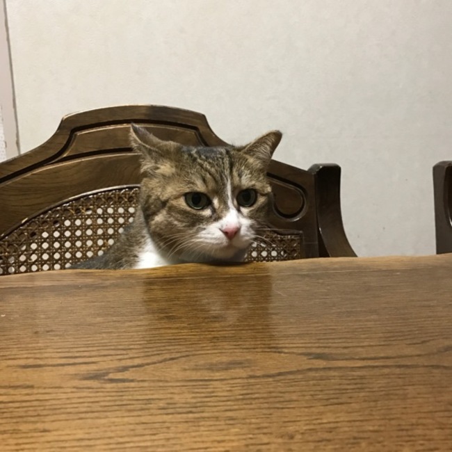 s.yui.0922のカバー写真