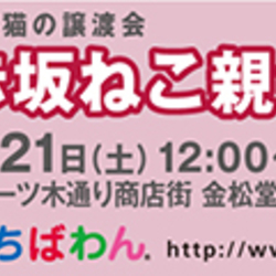 ちばわん赤坂ねこ親会