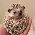 たくさんのご応募ありがとうございました！