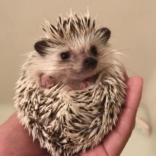 たくさんのご応募ありがとうございました！