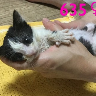 管理番号：OS−635