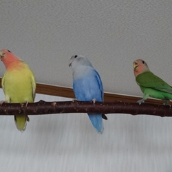 ようこそ、我が家へ