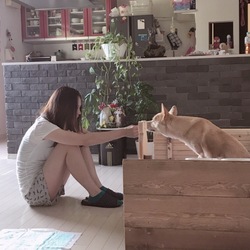 ようやく…