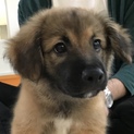 新しい家族ができました。ありがとうございました！