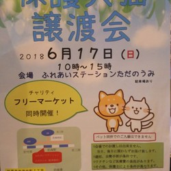保護犬猫譲渡会
