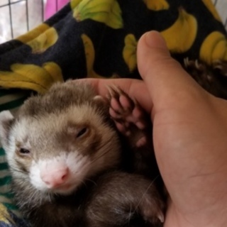 現在応募された皆様の中から検討しております！