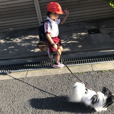幼稚園児ともお散歩できます
