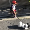 幼稚園児ともお散歩できます