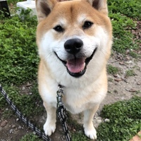 楓我