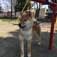 おこげ