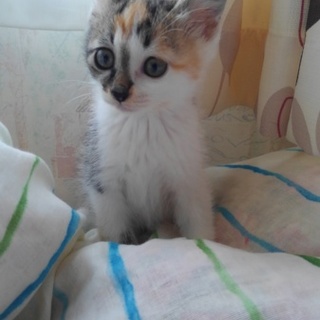 ありがとうございました