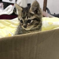 ゆう