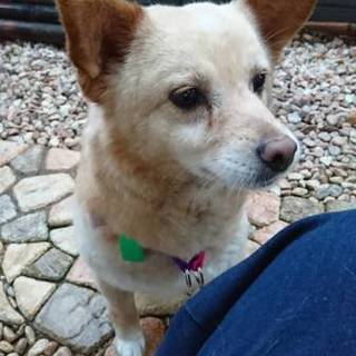 なつっこい女の子