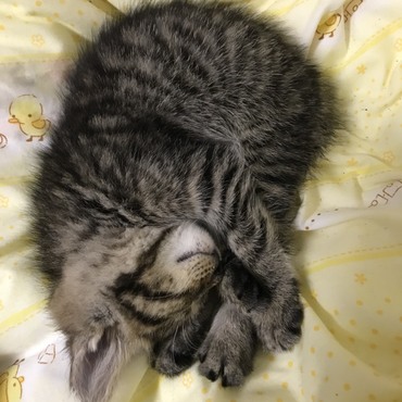 ゆうの写真