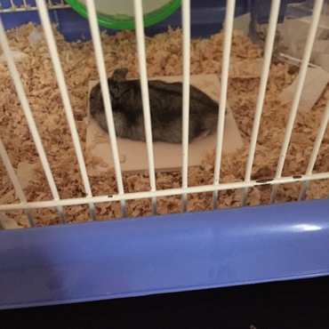 暑すぎて涼を求める