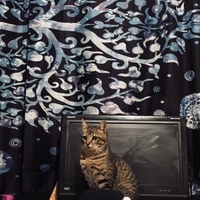 サーベルちゃん