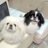 ３０００ＧＴ君