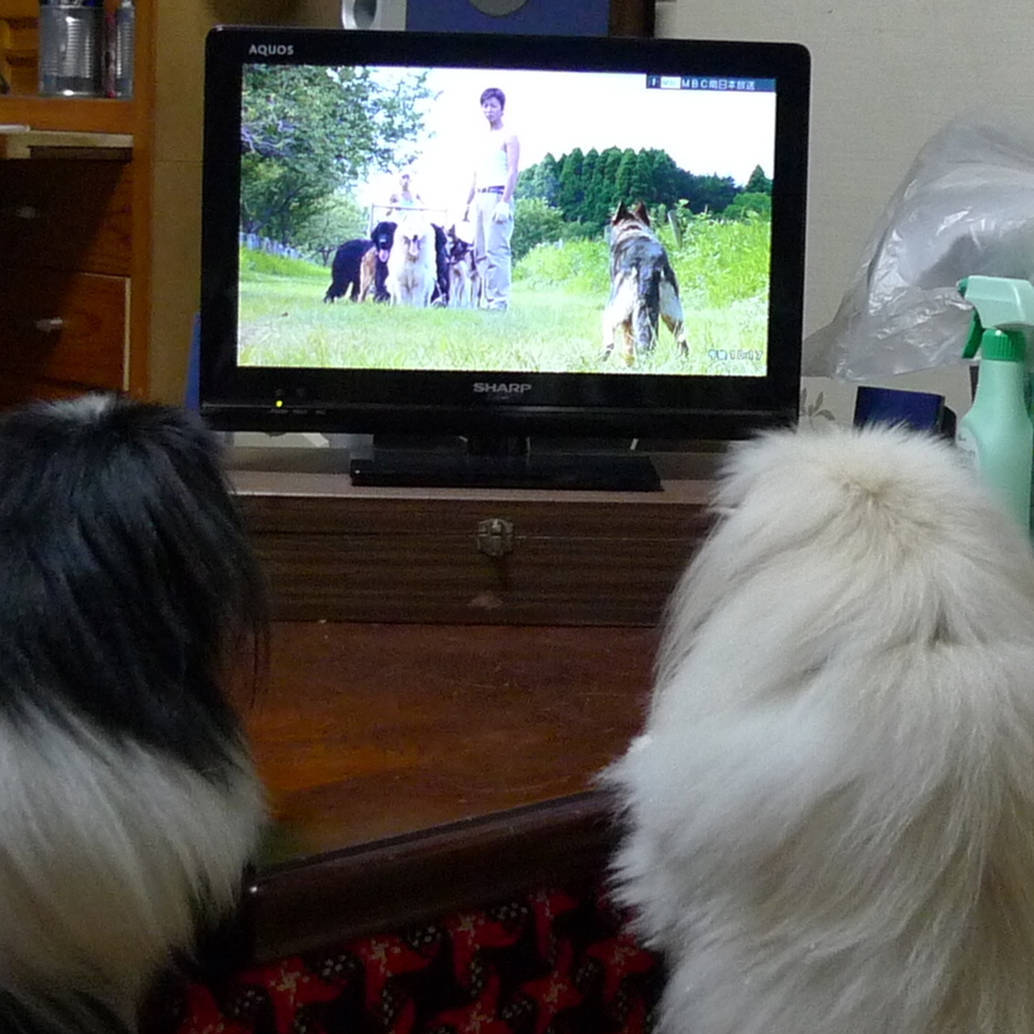 ３０００ＧＴ君のカバー写真
