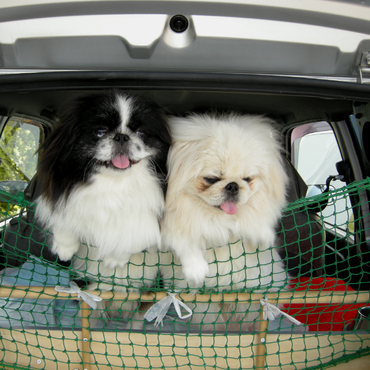 車でのドライブ旅行