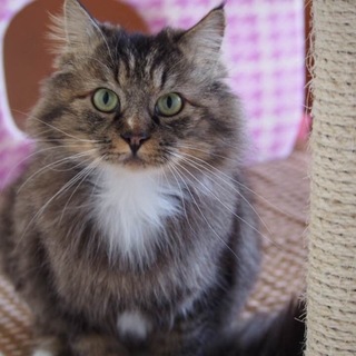 素晴らしいご家族様と出逢えました！感謝！