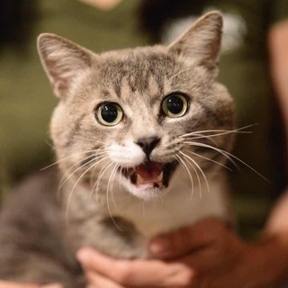 『カオデカプリオ』大物の風格‼️