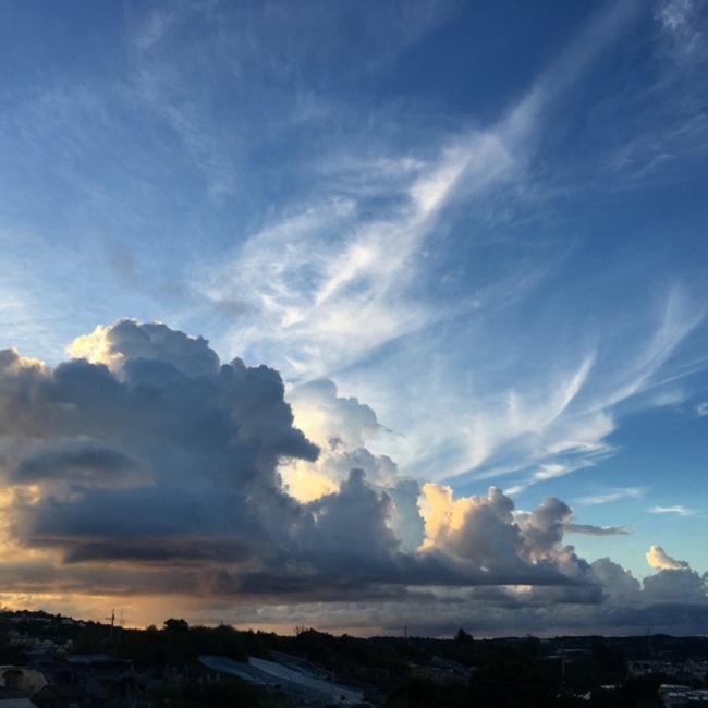 オリてんのカバー写真