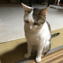 里親募集中