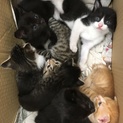 多数の応募ありがとうございました！