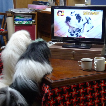 そおなんだ～～～！！！