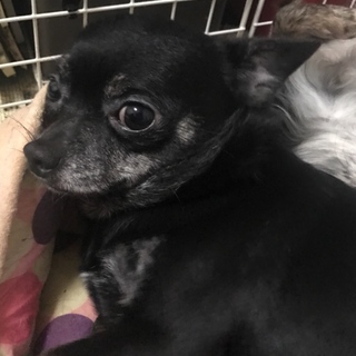 住むところが無くなります。