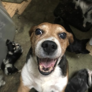 住むところが無くなります。