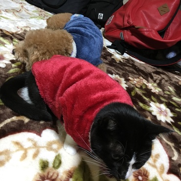 のんちゃんとなっちゃん。色違いのお洋服を着て幸せ笑