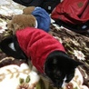 のんちゃんとなっちゃん。色違いのお洋服を着て幸せ笑