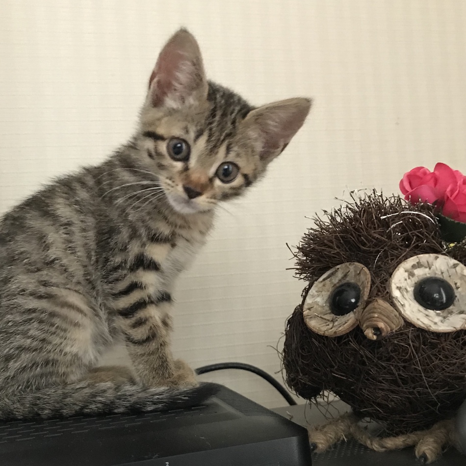 ぱるのカバー写真