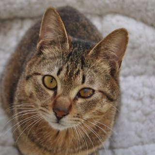 やんちゃな♡ヤマトくん