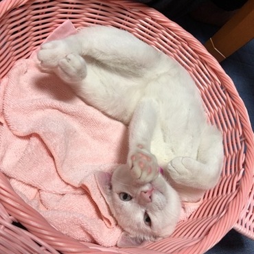 の写真
