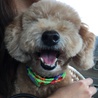 のんちゃん、ニコッ(^^)