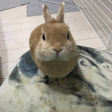 男前やん