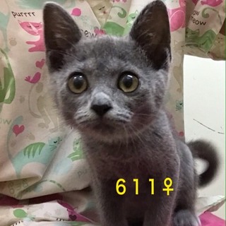 管理番号：OS−611