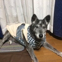 くろちゃん