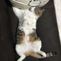 れん